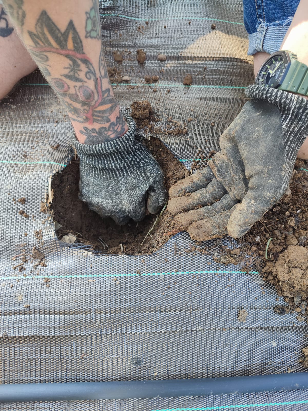 Plantation &agrave; la main