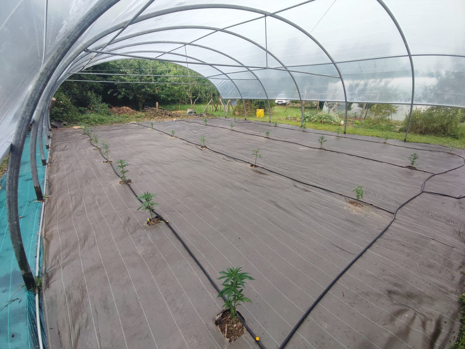 Vue large de la serre