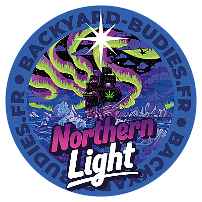 Northern Light